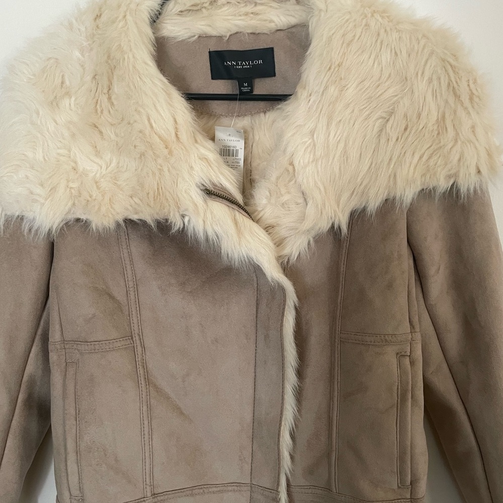 NWT new Ann Taylor tan faux fur lined trimmed jacket coat Moto short suede tan M